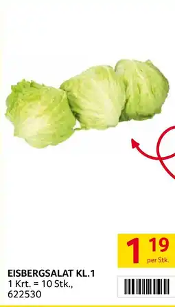 Transgourmet Eisbergsalat kl.1 Angebot
