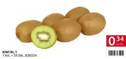 Transgourmet Kiwi kl.1 Angebot