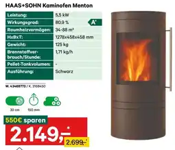 Lagerhaus HAAS+SOHN Kaminofen Menton Angebot