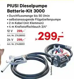 Lagerhaus PIUSI Dieselpumpe Batterie-Kit 3000 Angebot