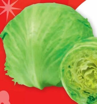 PENNY Eissalat Angebot