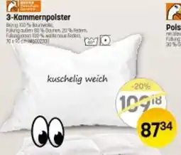Reiter 3 Kammernpolster Angebot