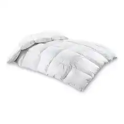 Reiter Daunendecke R6101301 Betten Reiter Angebot