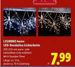 Lidl LIVARNO home LED-Dandelion Lichterkette Angebot