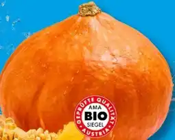 Lidl Bio Speisekürbis Hokkaido Angebot