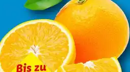 Lidl Orangen Angebot