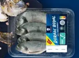 Lidl Fischerstolz Dorade Angebot