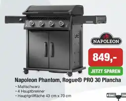 Strasser Markt Napoleon Phantom, Rogue® PRO 30 Plancha Angebot