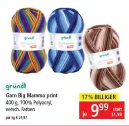 Pagro Diskont Garn Big Mamma print Angebot