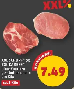 PENNY Xxl schopf od. xxl karree Angebot