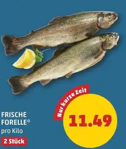 PENNY Frische forelle Angebot