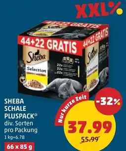 PENNY Sheba schale pluspack Angebot