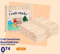Action Craft Sensations Bastelstäbchen Angebot