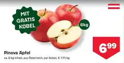 MPreis Pinova apfel Angebot
