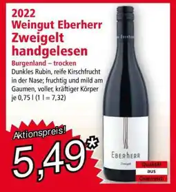 Norma 2022 Weingut Eberherr Zweigelt handgelesen Angebot