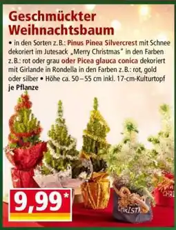 Norma GESCHMÜCKTER WEIHNACHTSBAUM Angebot