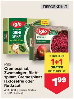 MPreis Iglo cremespinat, zwutschgerl blatt- spinat, cremespinat laktosefrei oder rotkraut Angebot
