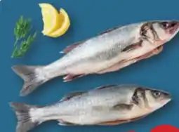 PENNY Wolfsbarsch Angebot