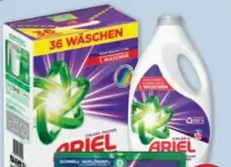 PENNY Ariel Pulver Angebot