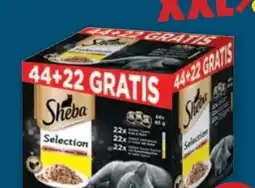 PENNY Sheba Schalen Angebot