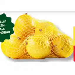 MPreis M BIO Zitronen MPREIS Angebot
