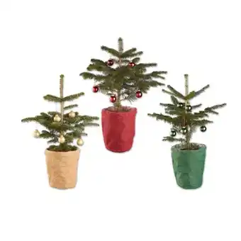 Lidl Nordmanntanne dekoriert im Jutetopf Verschiedene Topf- und Kugelfarben Lidl Angebot