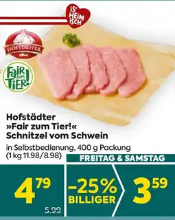 Billa Hofstädter fair zum tier schnitzel vom schwein Angebot