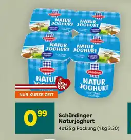 Billa Schärdinger Naturjoghurt Angebot