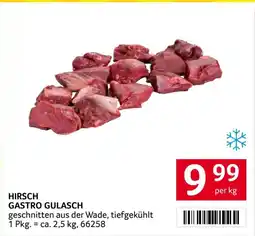 Transgourmet Hirsch gastro gulasch Angebot