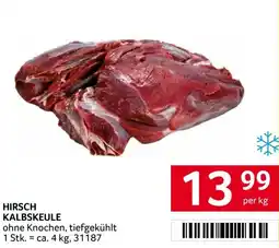 Transgourmet Hirsch kalbskeule Angebot