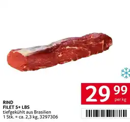 Transgourmet Rind filet 5+ lbs Angebot