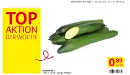 Transgourmet Gurken Angebot