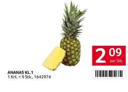 Transgourmet Ananas Angebot