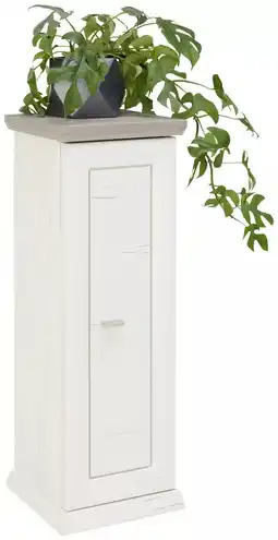 XXXLutz Blumensäule 0003000144 XXXLutz Angebot