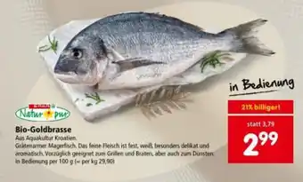 Interspar Bio-goldbrasse Angebot