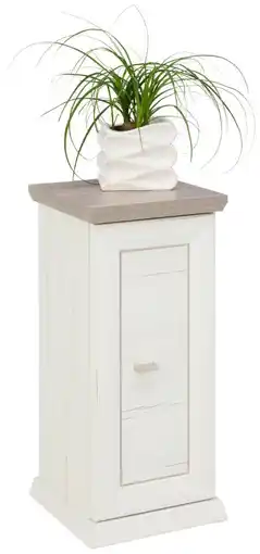 XXXLutz Hom'in Blumensäule Angebot