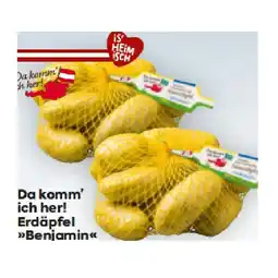 Billa Erdäpfel Benjamin BILLA Angebot