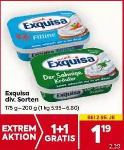 Billa Exquisa Angebot