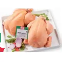 Maximarkt Hendl aus Österreich Maximarkt Angebot