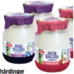 Maximarkt Bergbauern Fruchtjoghurt versch. Sorten Maximarkt Angebot