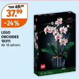 Müller Lego orchidee Angebot
