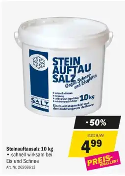 Forstinger Steinauftausalz Angebot