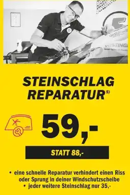 Forstinger Steinschlag reparatur Angebot