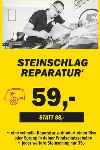 Forstinger Steinschlag reparatur Angebot
