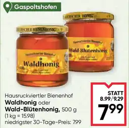 Maximarkt Waldhonig oder wald blutenhonig Angebot