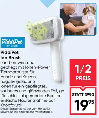 Maximarkt Piddipet lon Brush Angebot