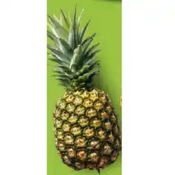 Hofer Ananas HOFER Angebot