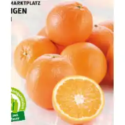 Hofer Orangen HOFER Angebot