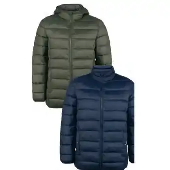 Hofer Herren-Leichtsteppjacke HOFER Angebot