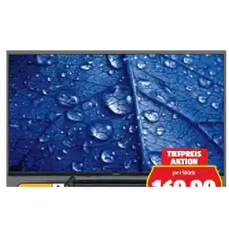 Hofer Life P8402581 (MD840181) 100,3 cm (40“) Full HD Q-LED Smart-TV HOFER Angebot